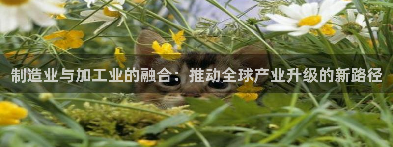 乐发邀请码平台
