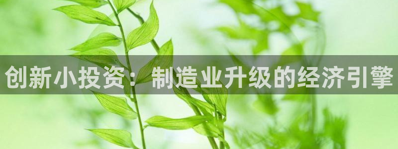 乐发旗下的平台有多少个