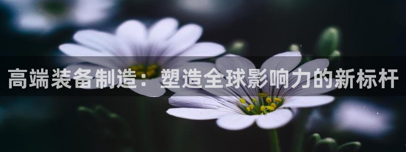 乐发平台是干什么的