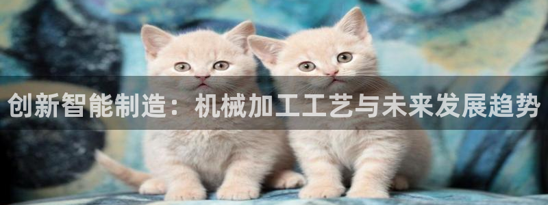 乐豪发真人平台