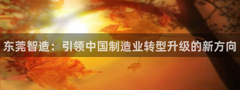 乐发国际平台官网