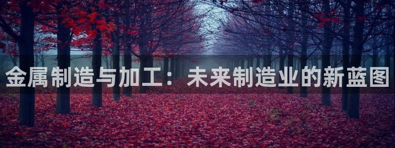 乐发III平台最新版本更新内容