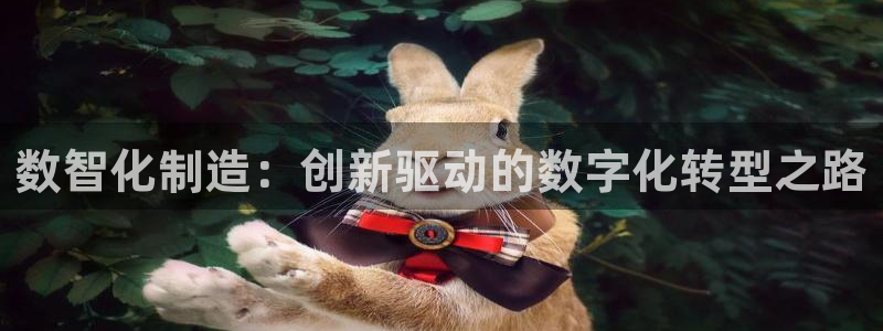 乐发是什么平台