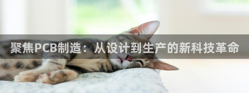 乐发是个什么软件平台