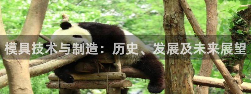 乐发平台靠谱吗