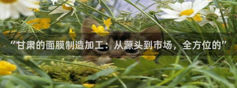 乐发彩票计划平台