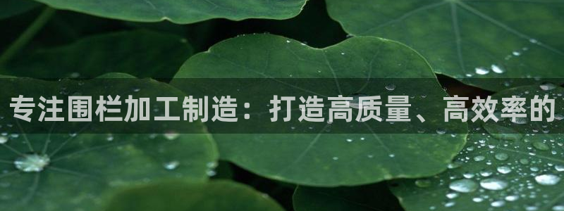 乐发平台注册下载安装