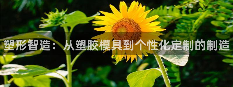 乐发平台网址是多少