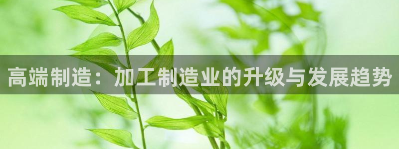 乐发1彩票平台