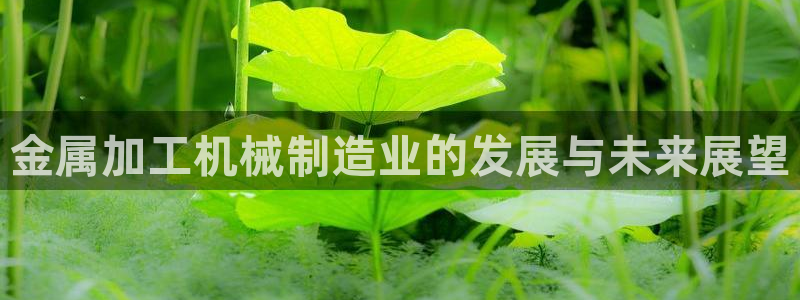 亿发乐登录平台