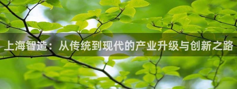 乐发彩票平台入口官网
