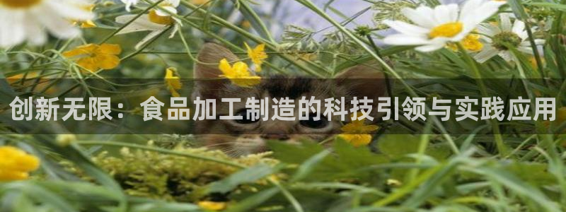 乐发彩票平台wx17 com