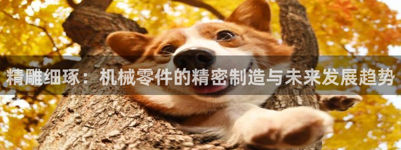 乐发国际平台客服电话