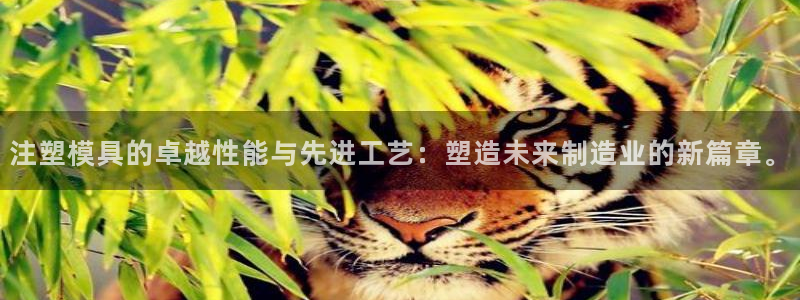 乐信短信平台文案怎么发