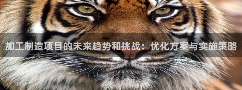 乐发彩票直播平台下载