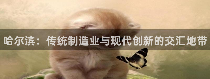 乐发vlll最新平台