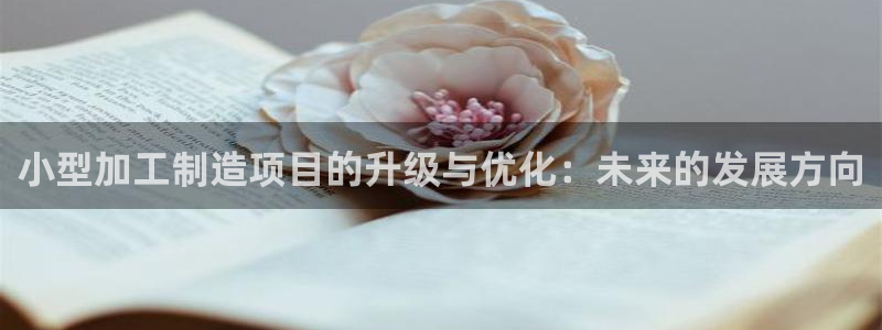乐发平台金辉娱乐怎么样