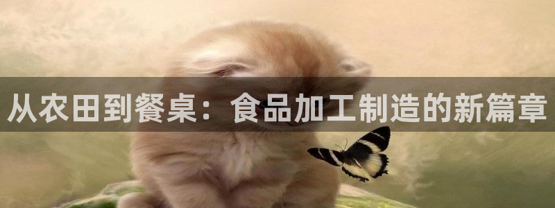 乐发 il彩票平台入口
