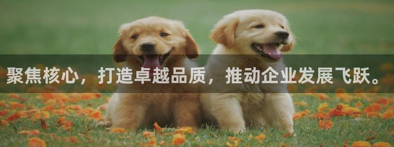 乐千发卡平台靠谱吗