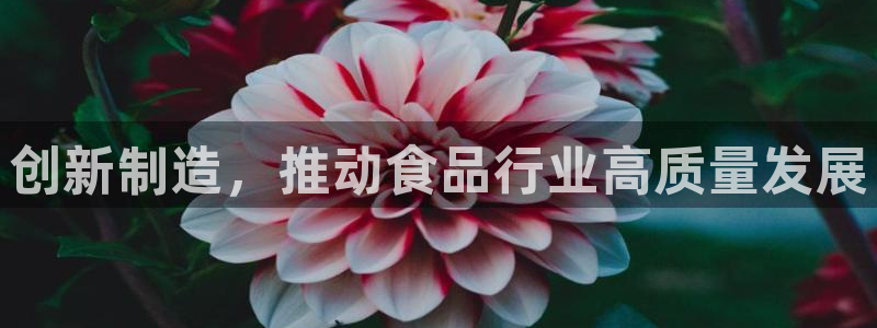 乐发通用平台