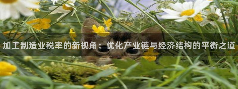 乐发是什么平台
