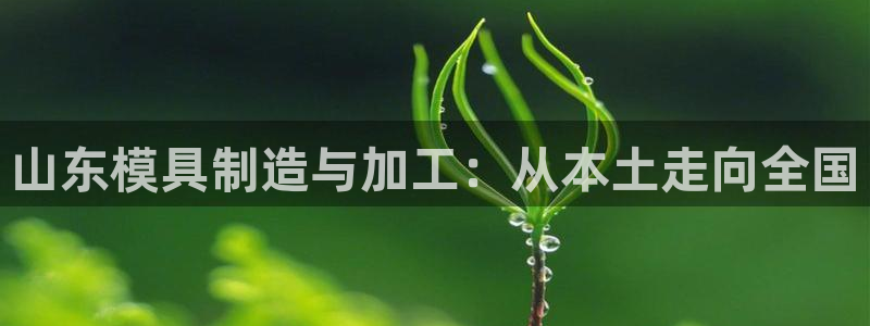 乐发旗下的平台有多少个