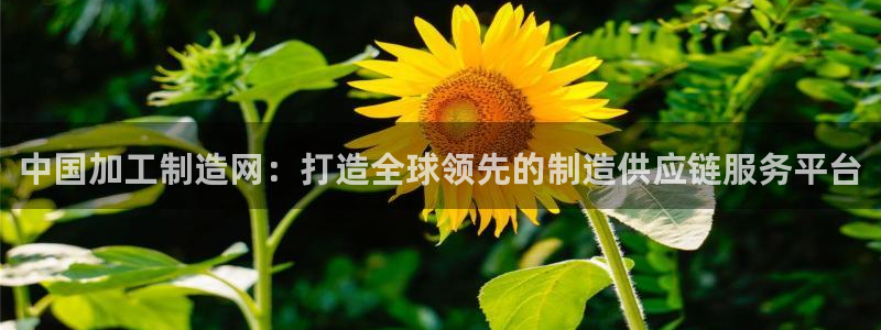 乐发l官方平台