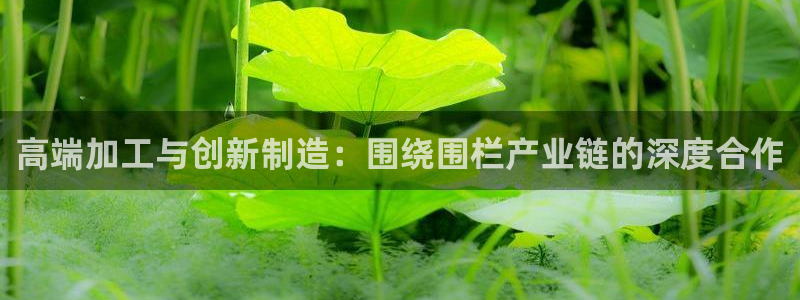 乐发彩票平台网址