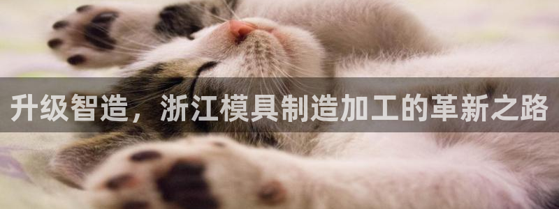 乐发彩票直播平台官网