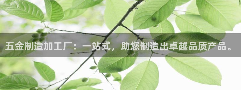 乐发彩票平台入口