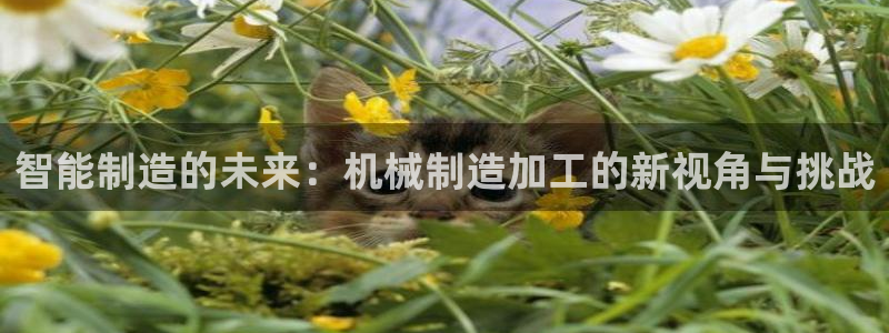 贝发知乐读写平台