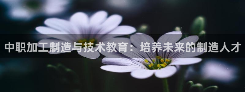 乐发Iv彩票官方平台