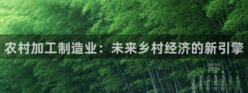 乐发xl彩票平台正规不
