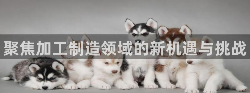 乐发体育平台官网