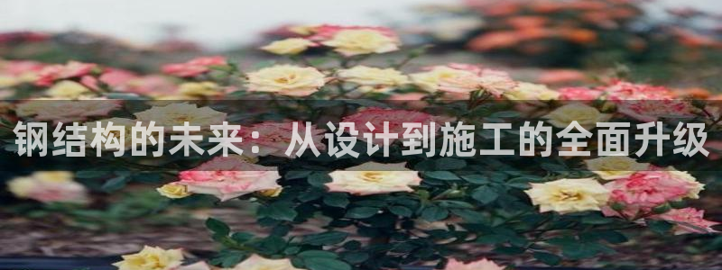 乐发 国际是不是黑平台