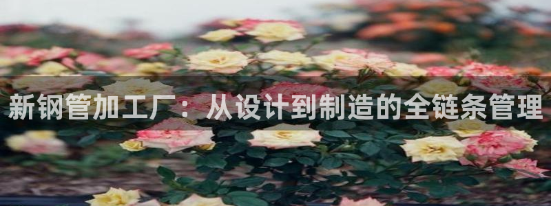 众乐一分大发彩票平台