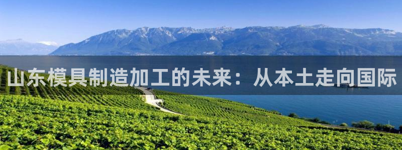 乐发平台下载app