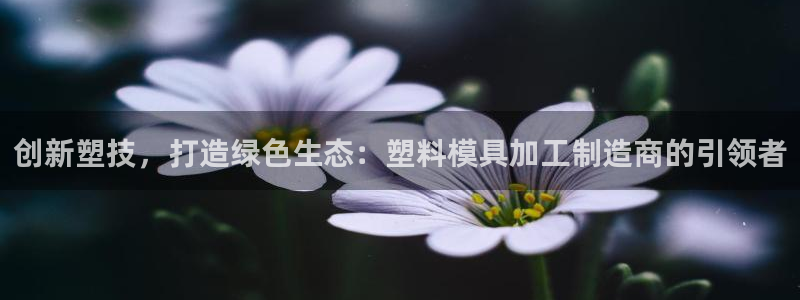 乐发体育平台官网登录