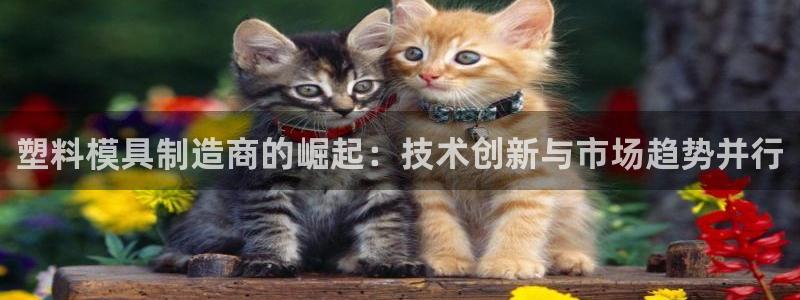 乐发是大平台吗是正品吗