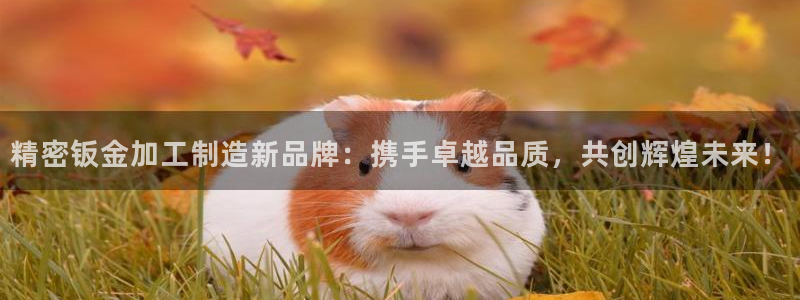 乐千发卡平台靠谱吗