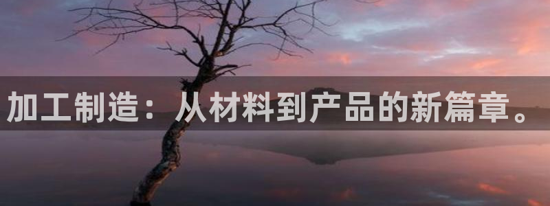 乐发大小单双平台