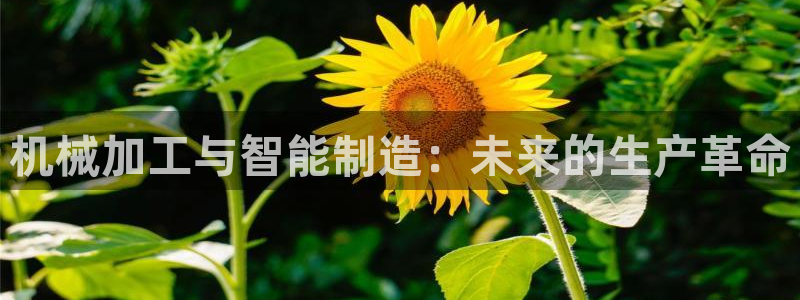 乐发平台网址是多少