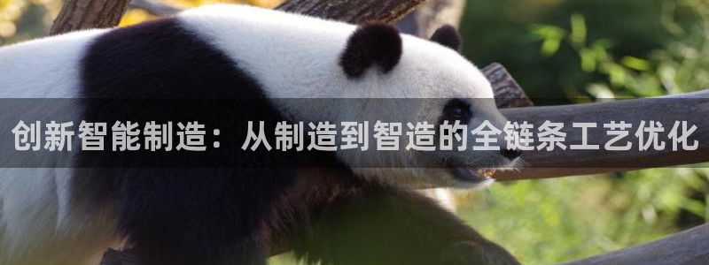 乐发平台注册资金多少钱