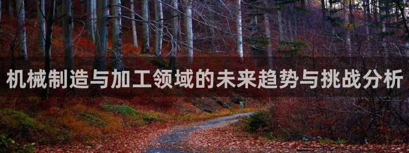 乐发平台多久了