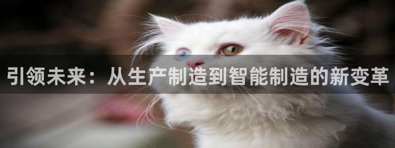 乐发体育平台怎么样知乎