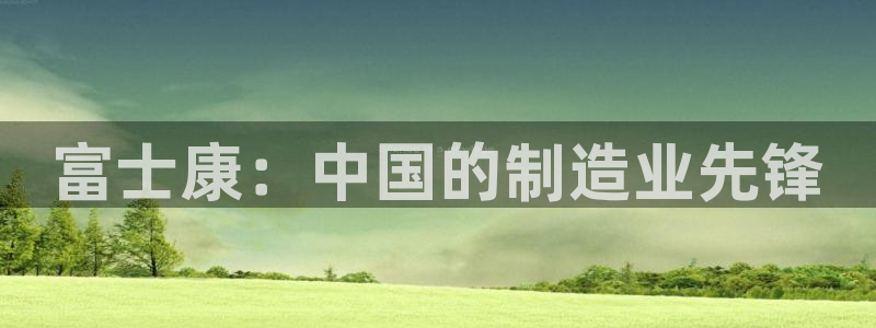 乐发v11平台怎样