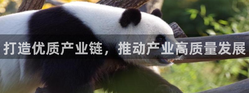 乐发彩票平台跑路了吗