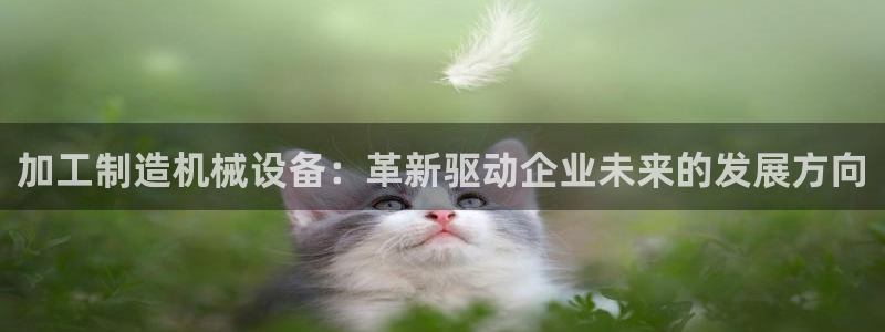 乐发1彩票平台在校下载