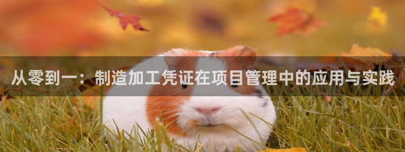 必发误乐黑平台