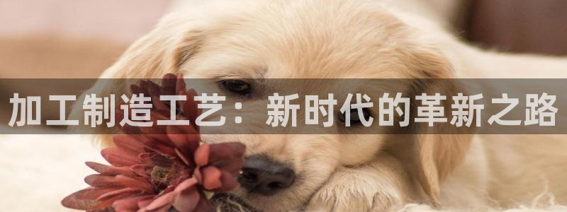 乐贷公告是什么平台发的